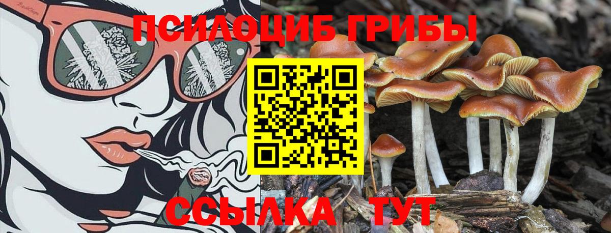Псилоцибиновые грибы мухоморы Павлово